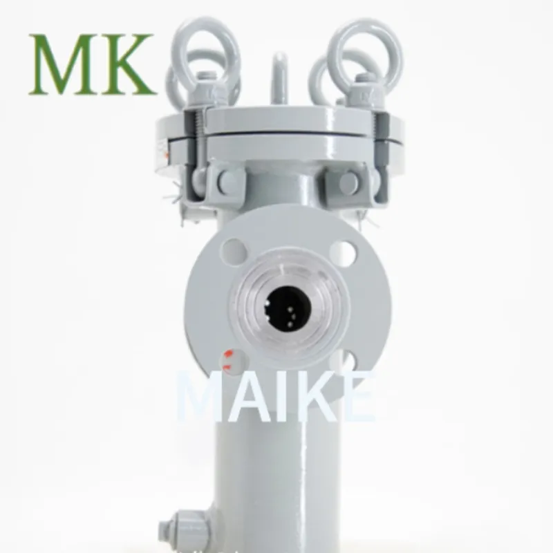 Быстросъёмный корзиночный трубный фильтр (3)